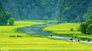 Best day trips from Hanoi 