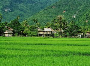 Best day trips from Hanoi 